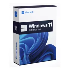 Microsoft Windows 11 Enterprise 1 User Lifetime