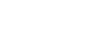 Sayprint data recovery logo