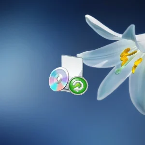 puran data recovery (1) puran data recovery (1)